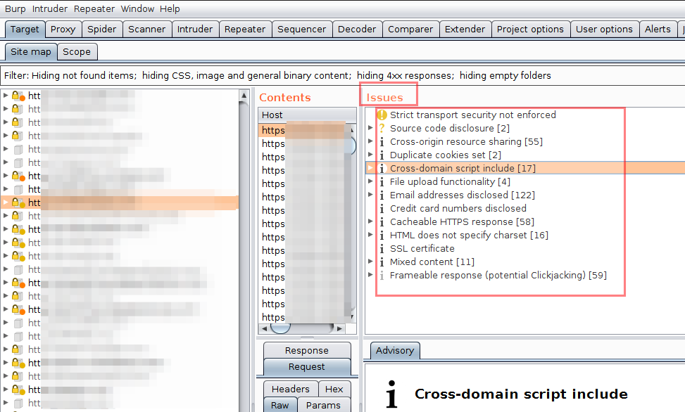 Burp Suite issues list from the example assessment